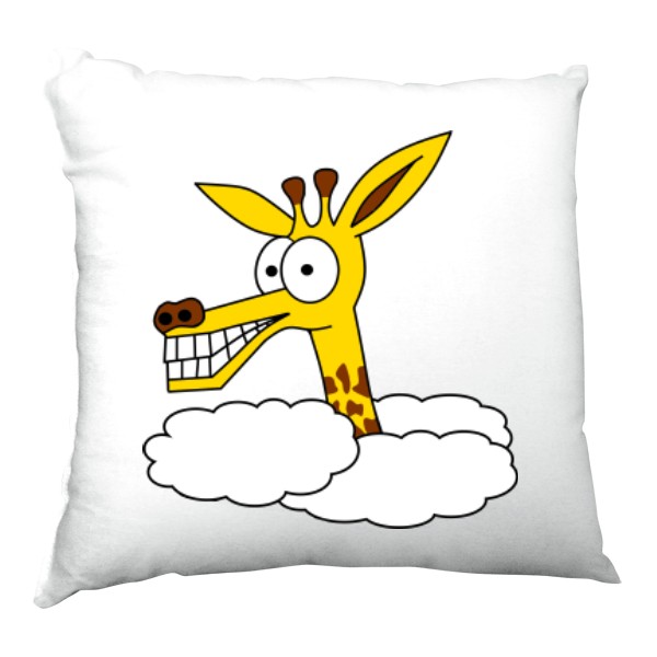 Polštář saténový s potiskem Paul v mracích polštářek